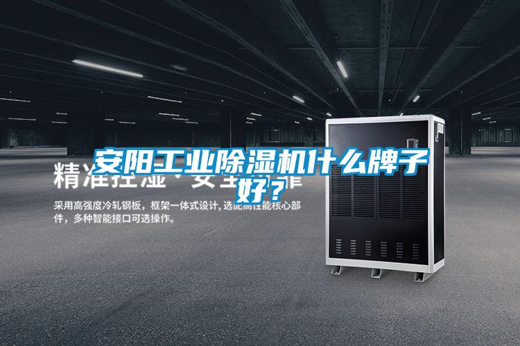 安陽工業(yè)除濕機(jī)什么牌子好？