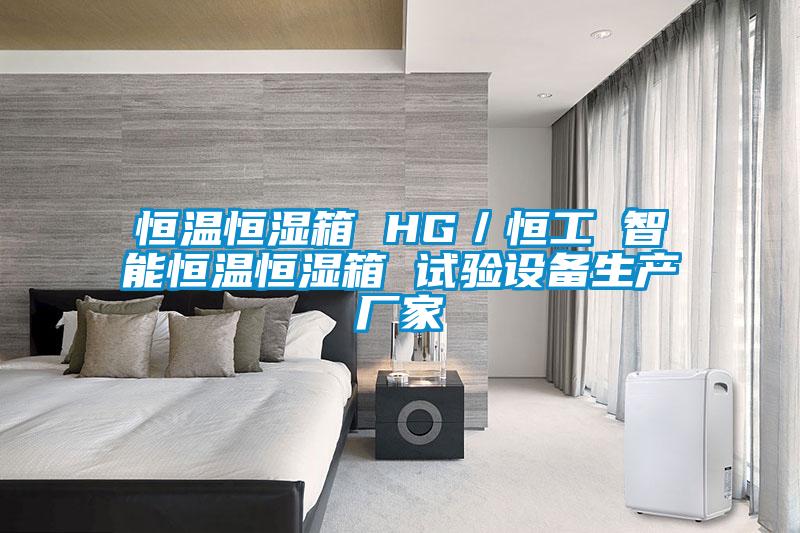 恒溫恒濕箱 HG／恒工 智能恒溫恒濕箱 試驗設備生產(chǎn)廠家