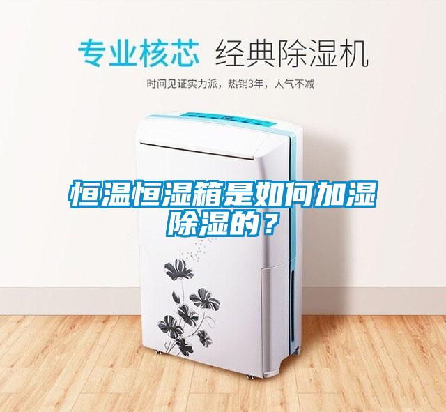 恒溫恒濕箱是如何加濕除濕的？