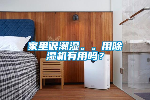 家里很潮濕。。用除濕機(jī)有用嗎？
