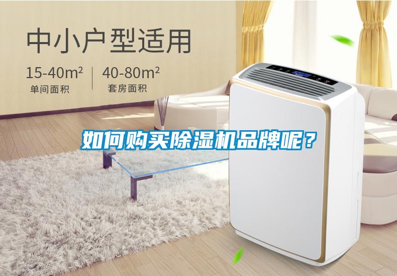 如何購買除濕機(jī)品牌呢？