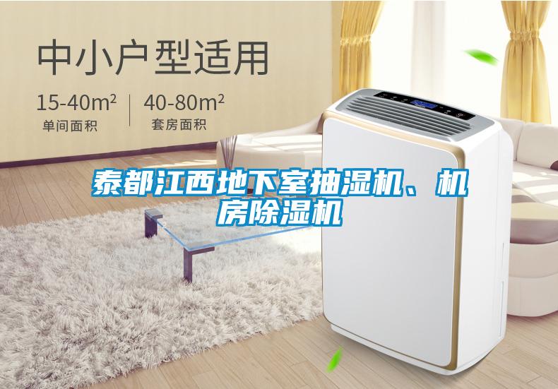 泰都江西地下室抽濕機(jī)、機(jī)房除濕機(jī)