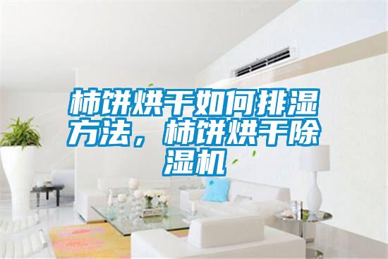 柿餅烘干如何排濕方法，柿餅烘干除濕機(jī)