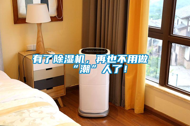 有了除濕機，再也不用做“潮”人了！