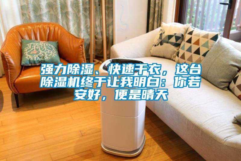 強(qiáng)力除濕、快速干衣，這臺除濕機(jī)終于讓我明白：你若安好，便是晴天
