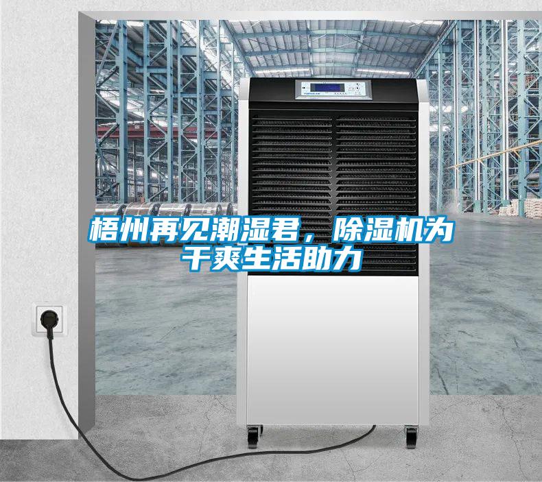 梧州再見潮濕君，除濕機為干爽生活助力