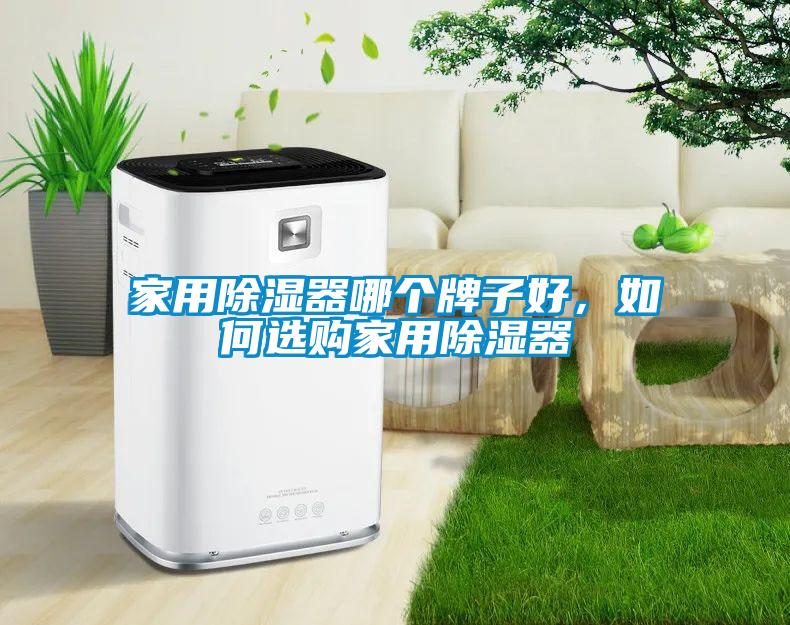 家用除濕器哪個(gè)牌子好，如何選購家用除濕器