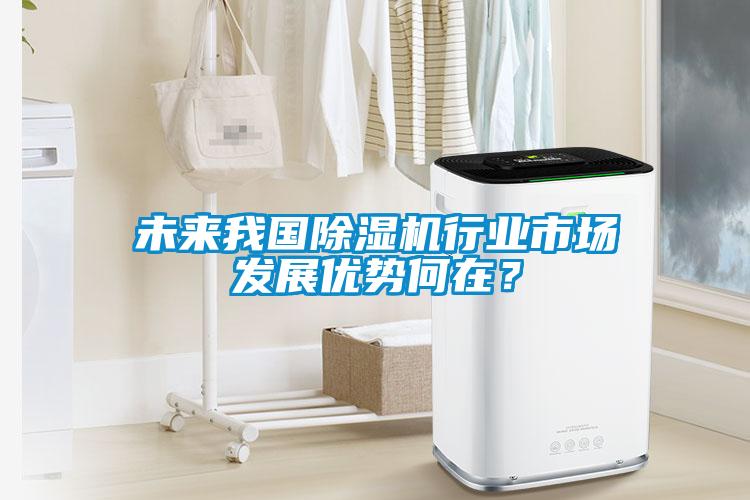 未來(lái)我國(guó)除濕機(jī)行業(yè)市場(chǎng)發(fā)展優(yōu)勢(shì)何在？