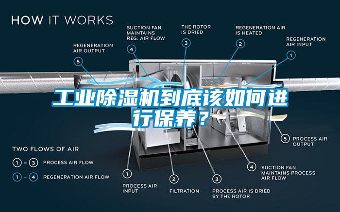 工業(yè)除濕機(jī)到底該如何進(jìn)行保養(yǎng)？