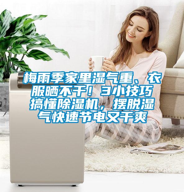 梅雨季家里濕氣重、衣服曬不干！3小技巧搞懂除濕機(jī)，擺脫濕氣快速節(jié)電又干爽