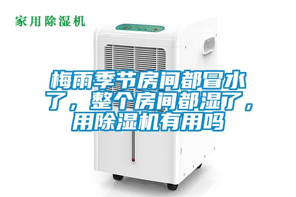 梅雨季節(jié)房間都冒水了，整個房間都濕了，用除濕機有用嗎