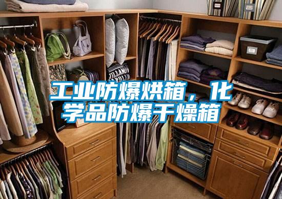 工業(yè)防爆烘箱，化學品防爆干燥箱