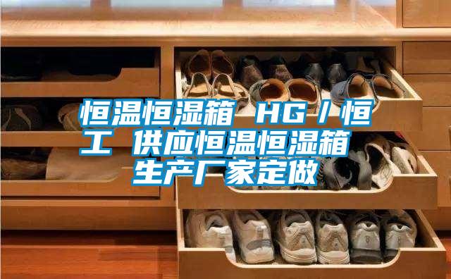 恒溫恒濕箱 HG／恒工 供應恒溫恒濕箱 生產(chǎn)廠家定做