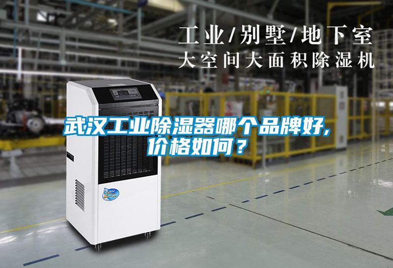 武漢工業(yè)除濕器哪個品牌好,價格如何？