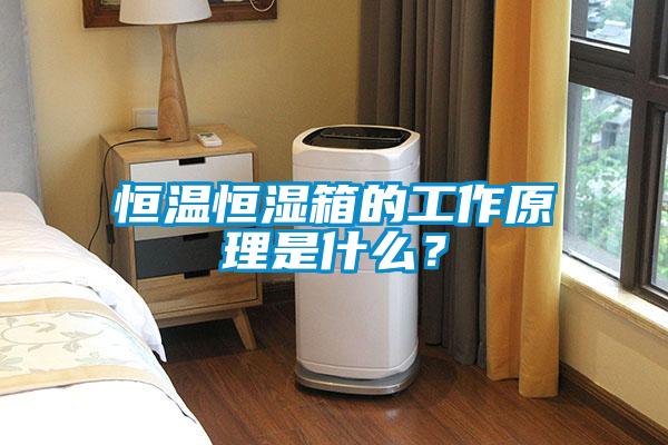 恒溫恒濕箱的工作原理是什么？