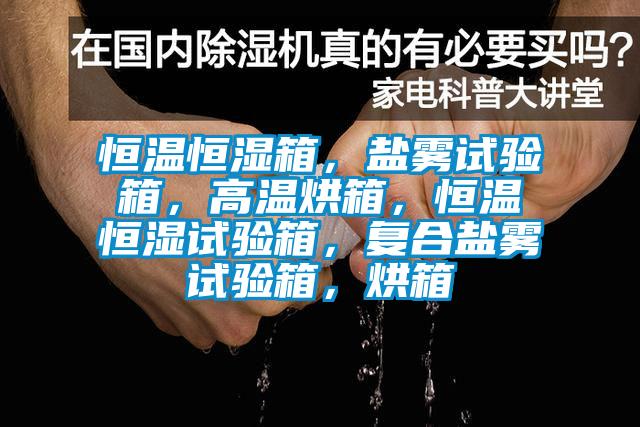 恒溫恒濕箱，鹽霧試驗(yàn)箱，高溫烘箱，恒溫恒濕試驗(yàn)箱，復(fù)合鹽霧試驗(yàn)箱，烘箱