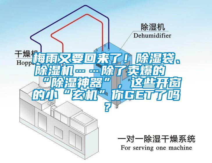 梅雨又要回來(lái)了！除濕袋、除濕機(jī)……除了賣(mài)爆的“除濕神器”，這些開(kāi)窗的小“玄機(jī)”你GET了嗎？