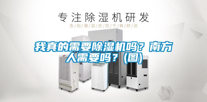 我真的需要除濕機嗎？南方人需要嗎？(圖)
