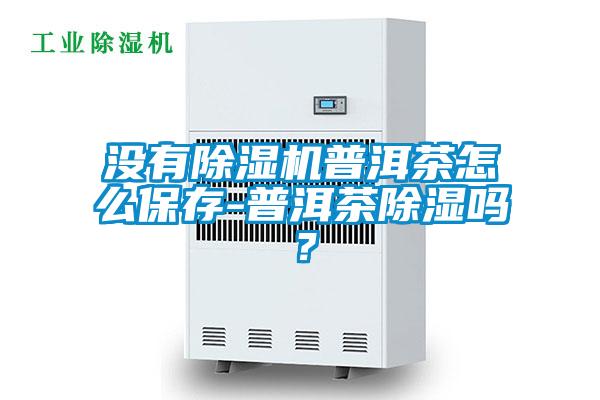 沒(méi)有除濕機(jī)普洱茶怎么保存-普洱茶除濕嗎？