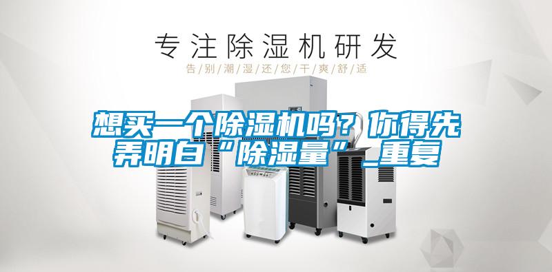 想買(mǎi)一個(gè)除濕機(jī)嗎？你得先弄明白“除濕量”_重復(fù)