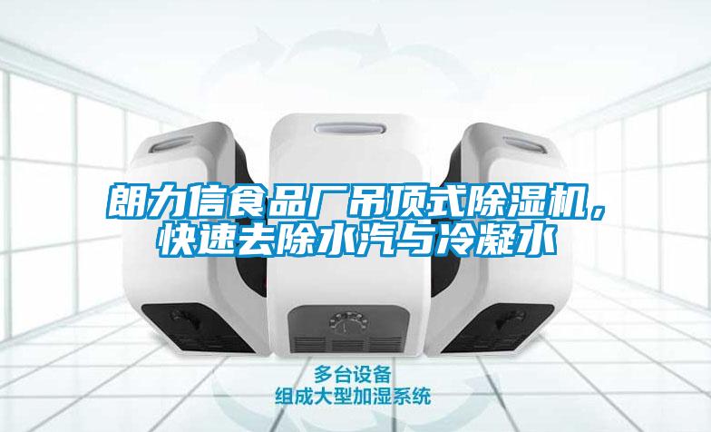 朗力信食品廠吊頂式除濕機(jī)，快速去除水汽與冷凝水