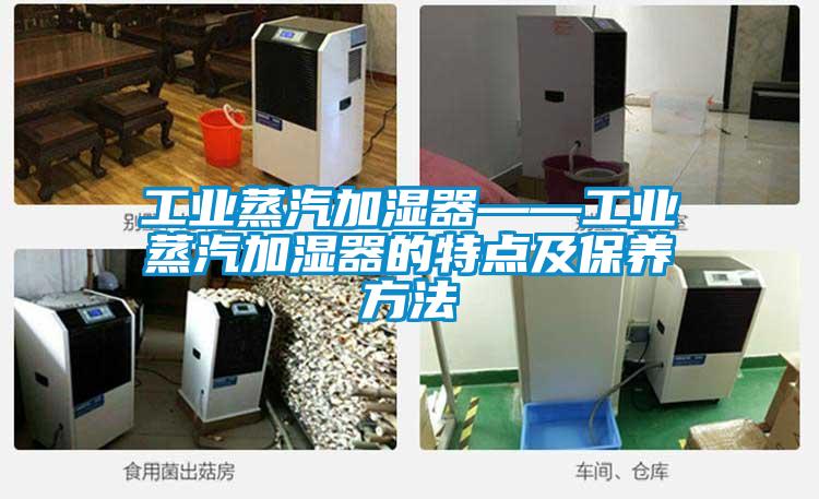 工業(yè)蒸汽加濕器——工業(yè)蒸汽加濕器的特點及保養(yǎng)方法