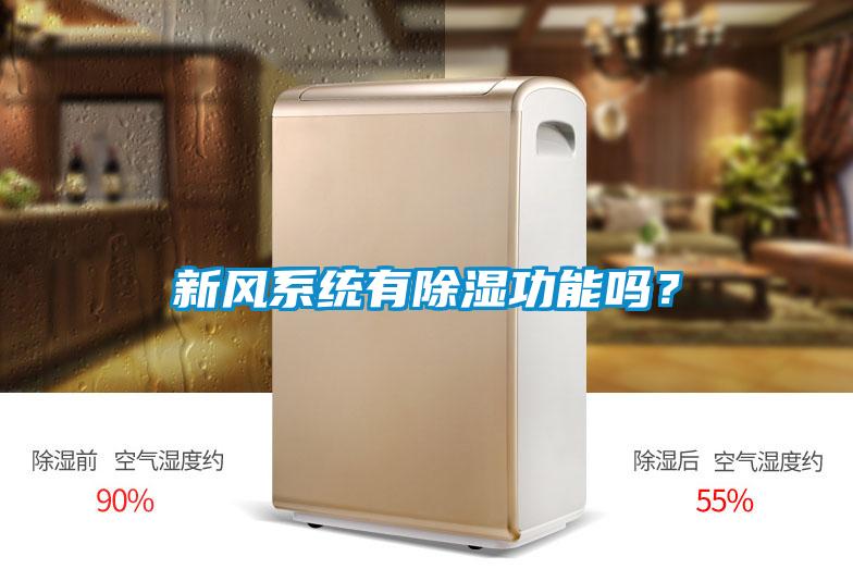 新風(fēng)系統(tǒng)有除濕功能嗎？