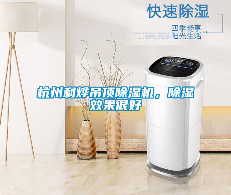 杭州利燁吊頂除濕機(jī)，除濕效果很好