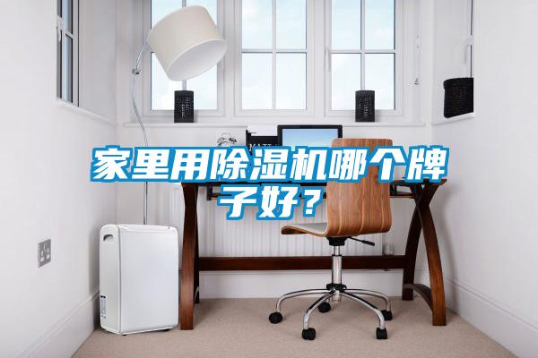家里用除濕機哪個牌子好？