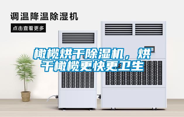 橄欖烘干除濕機，烘干橄欖更快更衛(wèi)生
