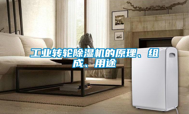 工業(yè)轉(zhuǎn)輪除濕機(jī)的原理、組成、用途