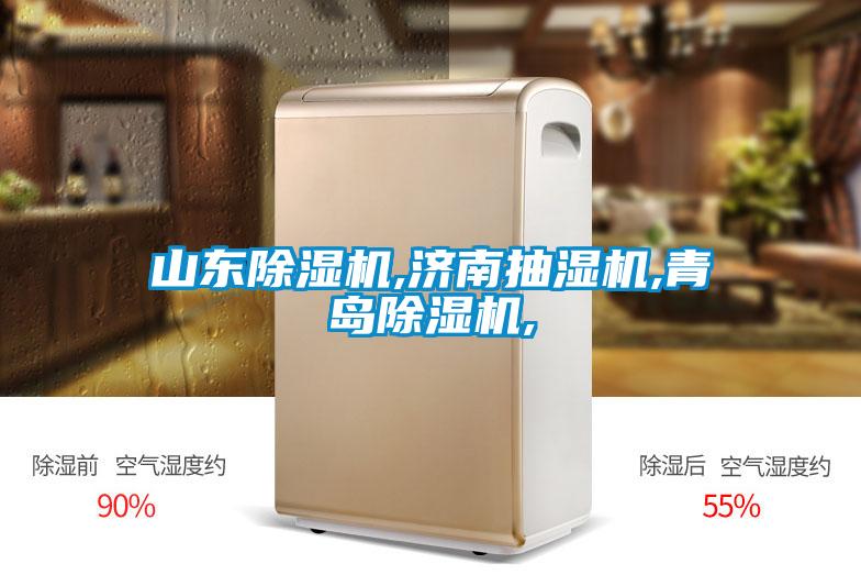 山東除濕機,濟(jì)南抽濕機,青島除濕機,