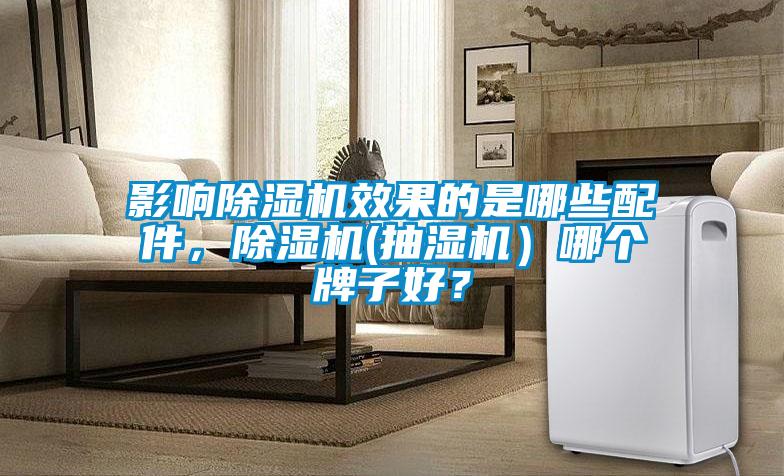 影響除濕機效果的是哪些配件，除濕機(抽濕機）哪個牌子好？