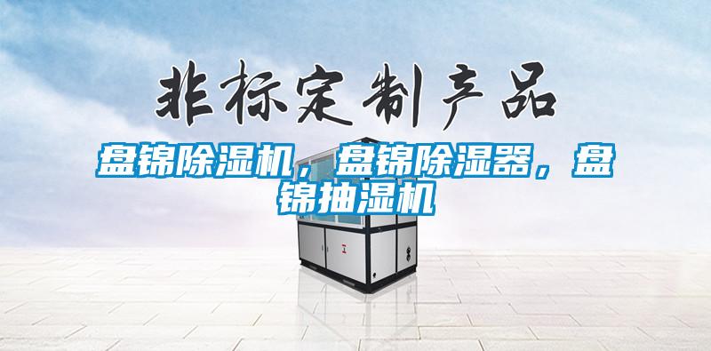 盤錦除濕機(jī)，盤錦除濕器，盤錦抽濕機(jī)