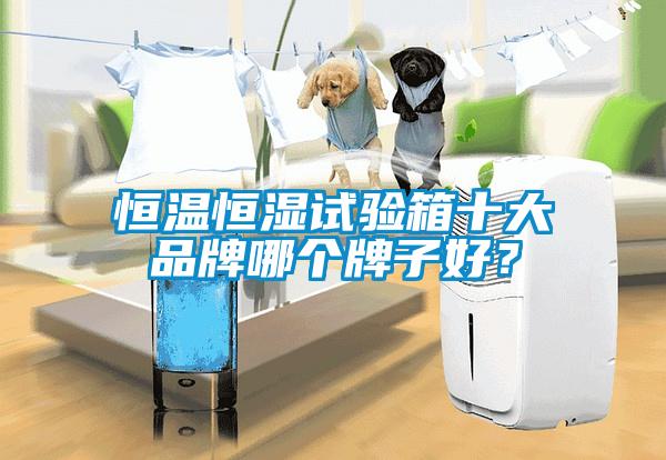 恒溫恒濕試驗箱十大品牌哪個牌子好？