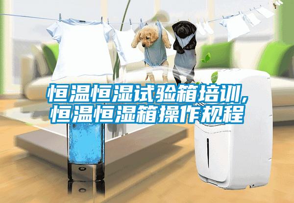 恒溫恒濕試驗箱培訓(xùn),恒溫恒濕箱操作規(guī)程