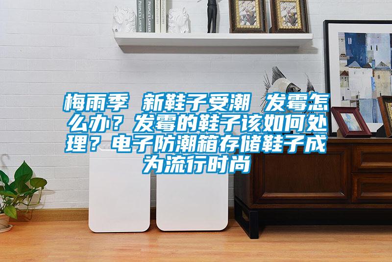 梅雨季 新鞋子受潮 發(fā)霉怎么辦？發(fā)霉的鞋子該如何處理？電子防潮箱存儲(chǔ)鞋子成為流行時(shí)尚