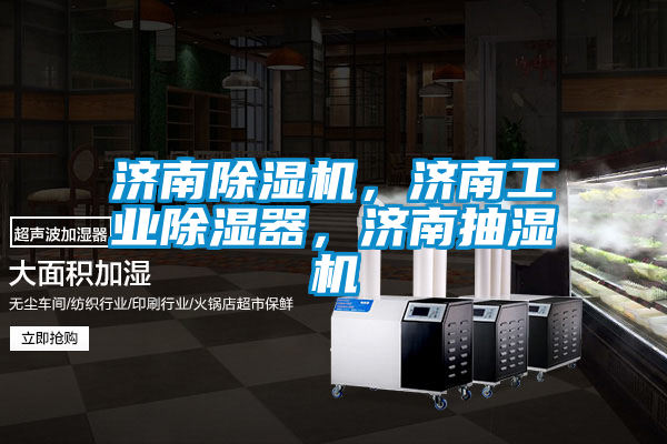濟(jì)南除濕機(jī)，濟(jì)南工業(yè)除濕器，濟(jì)南抽濕機(jī)