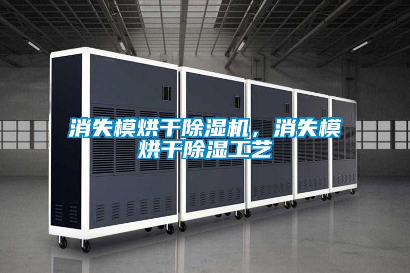 消失模烘干除濕機(jī)，消失模烘干除濕工藝