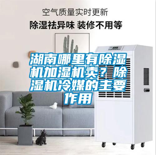 湖南哪里有除濕機加濕機賣？除濕機冷媒的主要作用