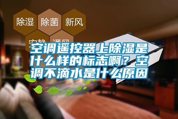 空調(diào)遙控器上除濕是什么樣的標(biāo)志啊？空調(diào)不滴水是什么原因