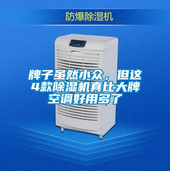 牌子雖然小眾，但這4款除濕機(jī)真比大牌空調(diào)好用多了