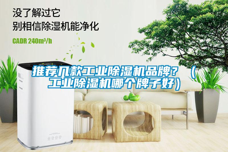 推薦幾款工業(yè)除濕機(jī)品牌？（工業(yè)除濕機(jī)哪個(gè)牌子好）