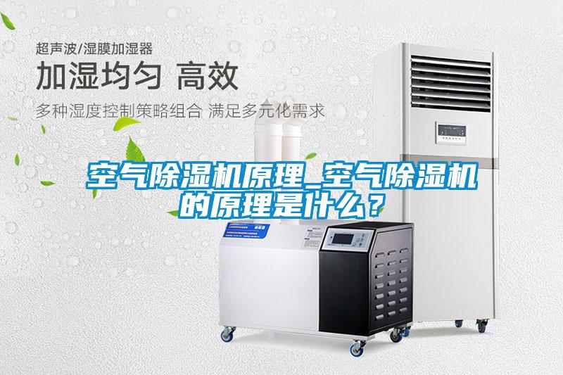 空氣除濕機(jī)原理_空氣除濕機(jī)的原理是什么？
