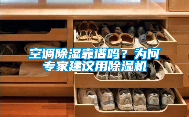 空調(diào)除濕靠譜嗎？為何專家建議用除濕機(jī)