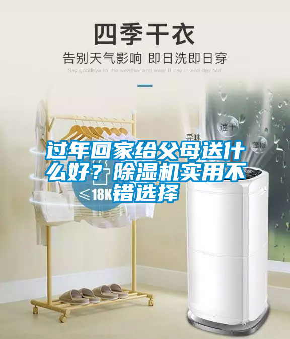 過年回家給父母送什么好？除濕機(jī)實(shí)用不錯(cuò)選擇