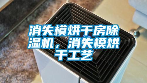 消失模烘干房除濕機(jī)，消失模烘干工藝