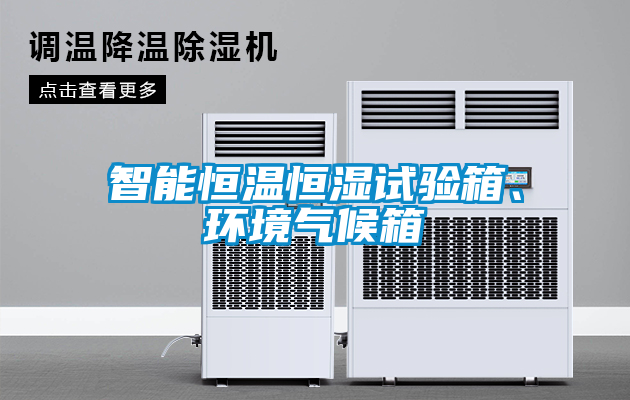 智能恒溫恒濕試驗(yàn)箱、環(huán)境氣候箱