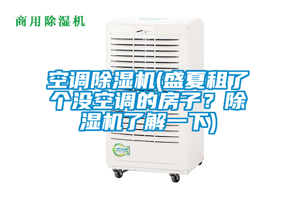 空調(diào)除濕機(jī)(盛夏租了個(gè)沒空調(diào)的房子？除濕機(jī)了解一下)