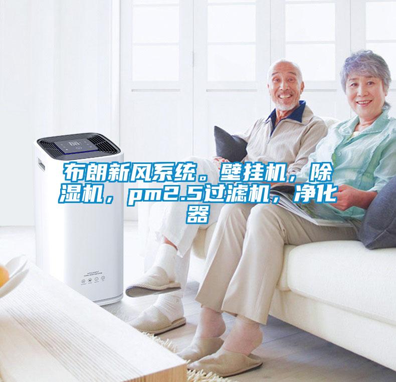 布朗新風(fēng)系統(tǒng)。壁掛機(jī)，除濕機(jī)，pm2.5過濾機(jī)，凈化器